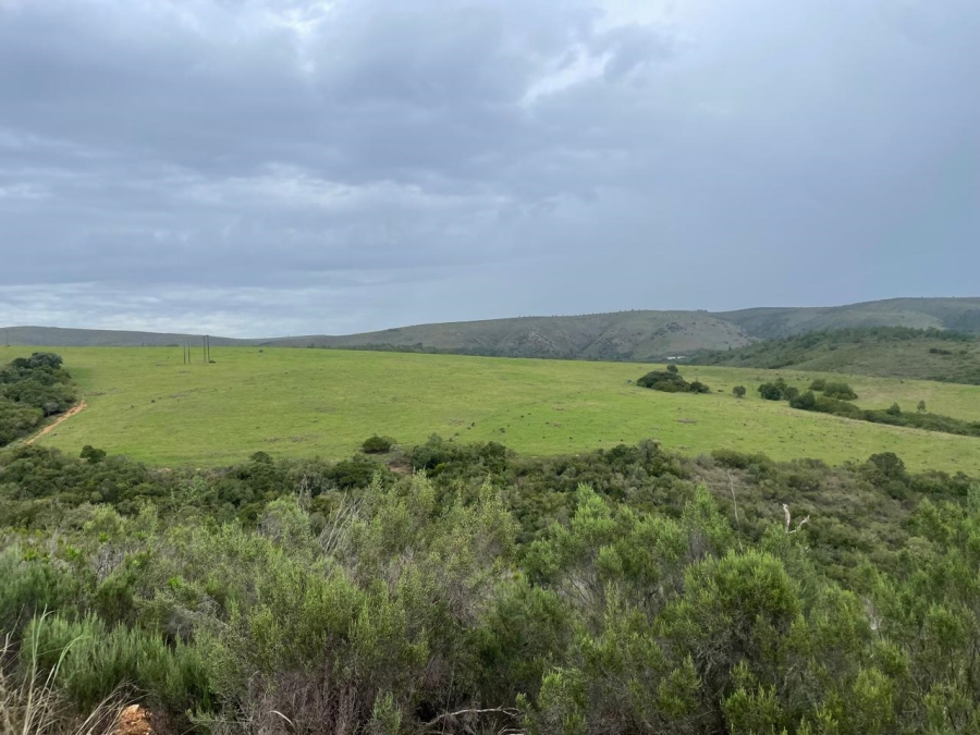 8 Bedroom Property for Sale in Elandsrivier Eastern Cape